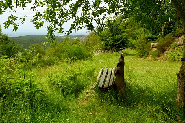 科瓦奇：吉拉西的行为？我理解比赛中情绪和肾上腺素的存在